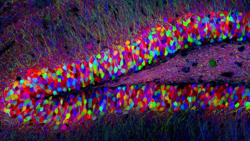 Global Highlights in Neuroengineering 2005-2018 Global Highlights in Neuroengineering 2005-2018