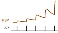 Sst Cell Spikes Diagram