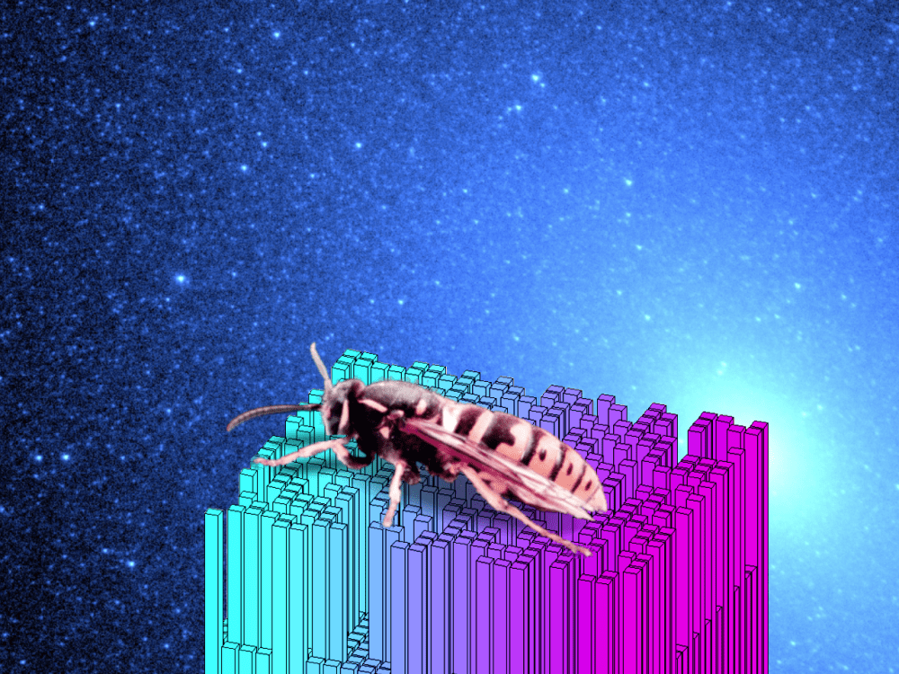 SurrealWasp