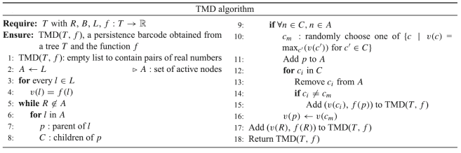 TMD Algorithm