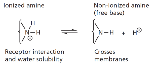 MedicinalChemistryFig1