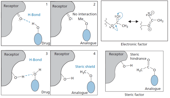 MedicinalChemistryFig15