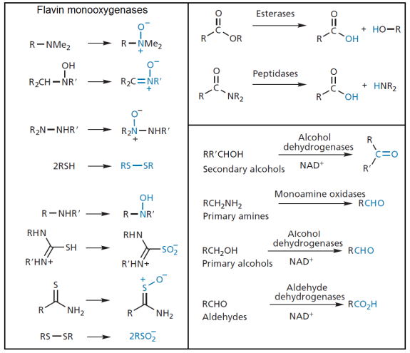MedicinalChemistryFig5