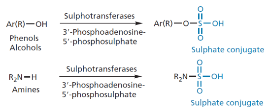 MedicinalChemistryFig8