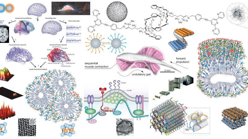 10 Fascinating Journal&nbsp;Papers