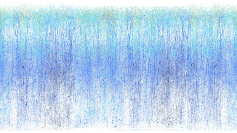 Global Highlights: Neuroengineering towards Whole-Brain Emulation and Mind&nbsp;Uploading