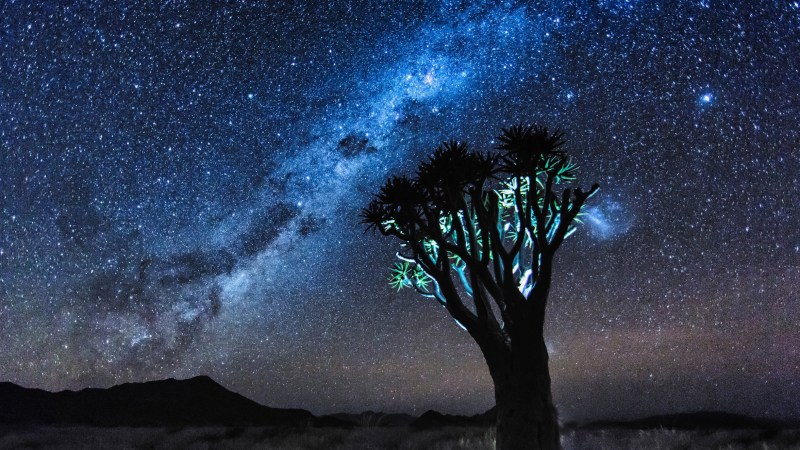 Existential purpose: an engineering&nbsp;perspective