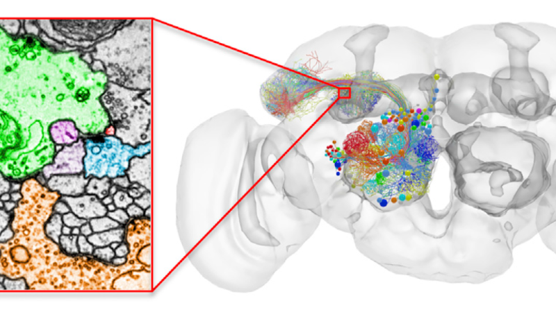 Global Highlights in Neuroengineering 2005-2018