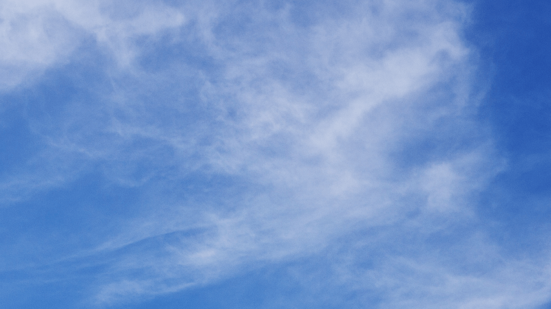 Relinquish / Metamorph – published in&nbsp;365tomorrows