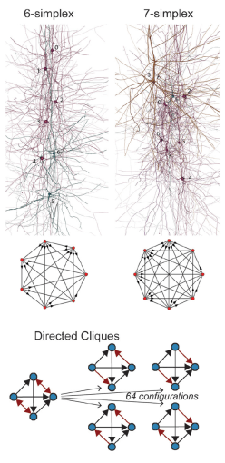 hbp algebraic topology
