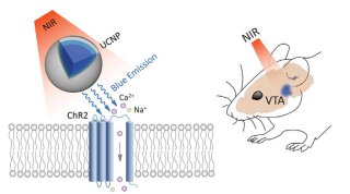 upconversion nanoparticles and nir