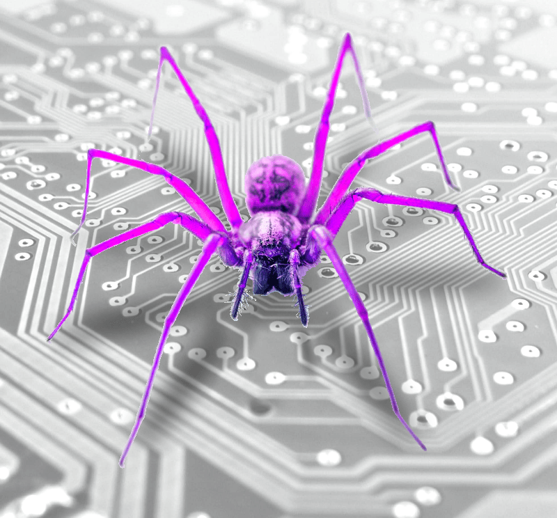 circuit_spider