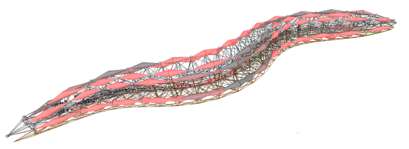 C. elegans Connectome