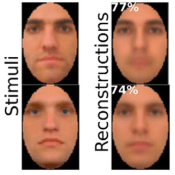 EEG reconstructions of faces