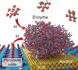 Perovskite nickelate device