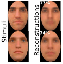 EEG reconstructions of faces