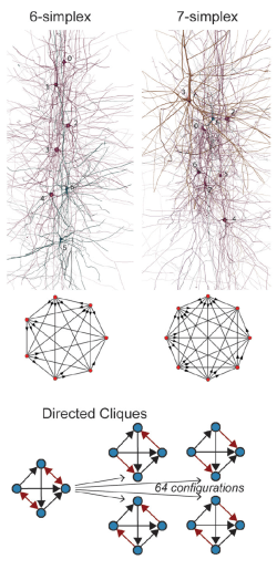 HBP algebraic topology