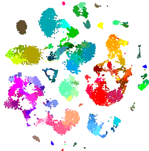 Transcriptomic classification